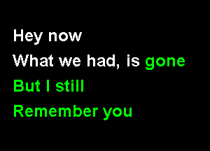 Hey now
What we had, is gone

But I still
Remember you