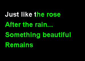 Just like the rose
After the rain...

Something beautiful
Remains