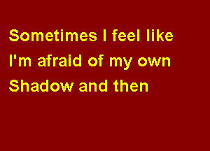 Sometimes I feel like
I'm afraid of my own

Shadow and then