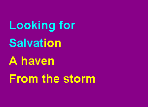 Looking for
Salvation

A haven
From the storm