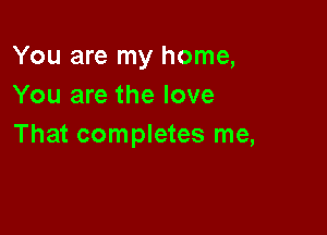 You are my home,
You are the love

That completes me,