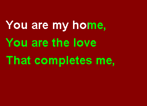 You are my home,
You are the love

That completes me,
