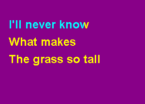 I'll never know
What makes

The grass so tall