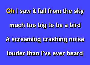 Oh I saw it fall from the sky
much too big to be a bird
A screaming crashing noise

louder than I've ever heard