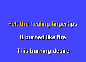 Felt the healing fingertips

It burned like fire

This burning desire