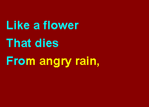 Like a flower
That dies

From angry rain,