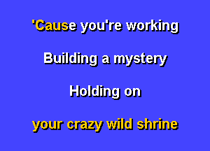 'Cause you're working

Building a mystery
Holding on

your crazy wild shrine