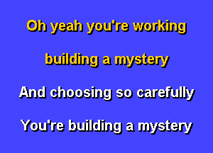 Oh yeah you're working

building a mystery

And choosing so carefully

You're building a mystery