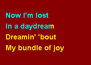 Now I'm lost
In a daydream

Dreamin' 'bout
My bundle of joy