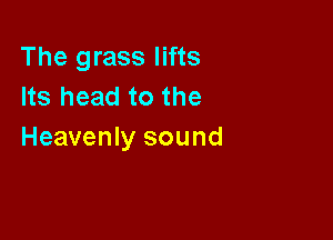 The grass lifts
Its head to the

Heavenly sound