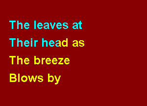The leaves at
Their head as

The breeze
Blows by