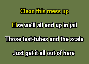 Clean this mess up

Else we'll all end up in jail

Those test-tubes and the scale

Just get it all out of here