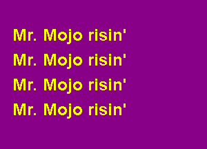 Mr. Mojo risin'
Mr. Mojo risin'

Mr. Mojo risin'
Mr. Mojo risin'
