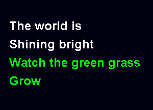 The world is
Shining bright

Watch the green grass
Grow