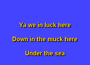 Ya we in luck here

Down in the muck here

U...

IronOcr License Exception.  To deploy IronOcr please apply a commercial license key or free 30 day deployment trial key at  http://ironsoftware.com/csharp/ocr/licensing/.  Keys may be applied by setting IronOcr.License.LicenseKey at any point in your application before IronOCR is used.