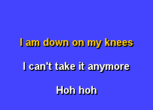 I am down on my knees

I can't take it anymore

Hoh hoh