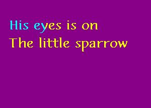 His eyes is on
The little sparrow