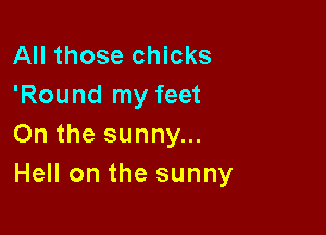 All those chicks
'Roundlnyfeet

On the sunny...
Hell on the sunny