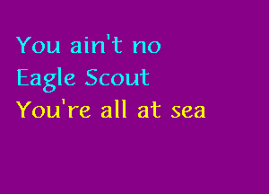 You ain't no
Eagle Scout

You're all at sea
