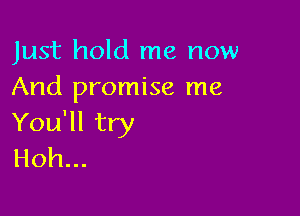 Just hold me now
And promise me

You'll try
Hoh...