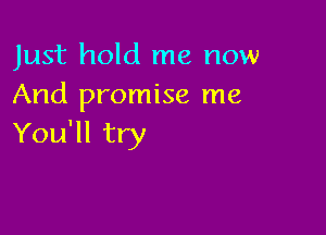 Just hold me now
And promise me

You'll try