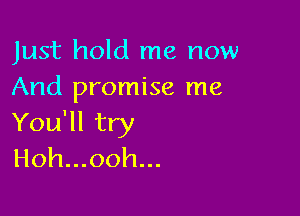 Just hold me now
And promise me

You'll try
Hoh...ooh...