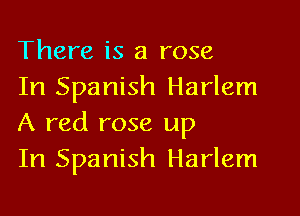 There is a rose

In Spanish Harlem
A red rose up

In Spanish Harlem