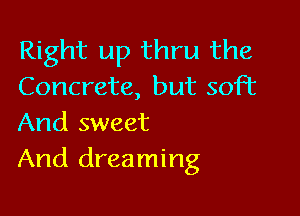 Right up thru the
Concrete, but soft

And sweet
And dreaming