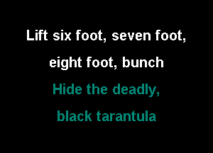 Lift six foot, seven foot,

eight foot, bunch

Hide the deadly,

black tarantula