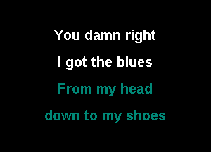 You damn right
I got the blues

From my head

down to my shoes