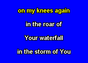 on my knees again

in the roar of
Your waterfall

in the storm of You