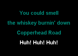 You could smell

the whiskey burnin' down

Copperhead Road
Huh! Huh! Huh!