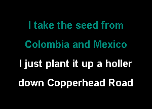 I take the seed from

Colombia and Mexico

ljust plant it up a holler

down Copperhead Road