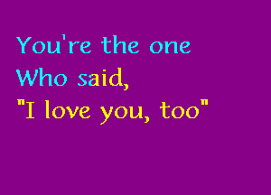 You're the one
Who said,

I love you, too