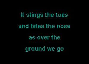 It stings the toes

and bites the nose
as over the

ground we go