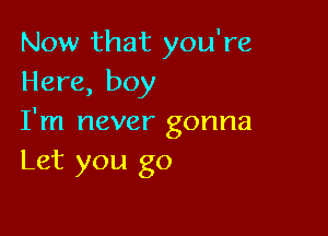 Now that you're
Here, boy

I'm never gonna
Let you go