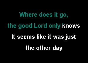 Where does it go,

the good Lord only knows

It seems like it was just

the other day