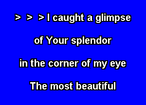 t) I caught a glimpse

of Your splendor

in the corner of my eye

The most beautiful