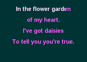 In the flower garden
of my heart.

I've got daisies

To tell you you're true.