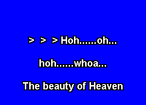 h' Hoh ...... oh...

hoh ...... whoa...

The beauty of Heaven