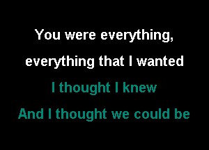 You were everything,

everything that I wanted
lthought I knew
And I thought we could be