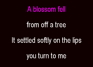 from off a tree

It settled 301in on the lips

you turn to me