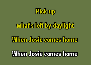 Pick up

what's left by daylight

When Josie comes home

When Josie comes home