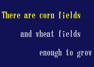 There are corn fields

and wheat fields

enough to grow