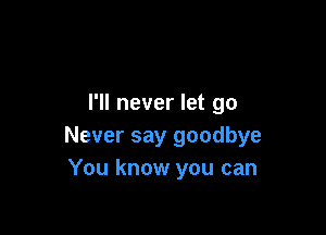 I'll never let go

Never say goodbye
You know you can