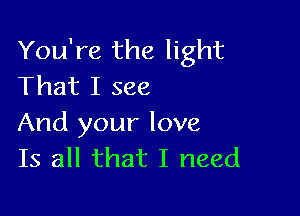 You're the light
That I see

And your love
Is all that I need