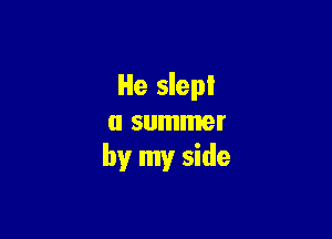 He slept

a summer
by my side