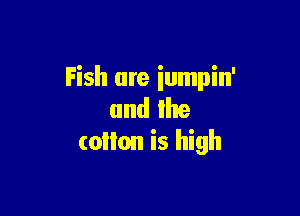 Fish are iumpin'

and the
(oilon is high