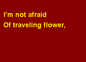I'm not afraid
0f traveling flower,