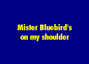 Mister Iluebird's

on my shoulder